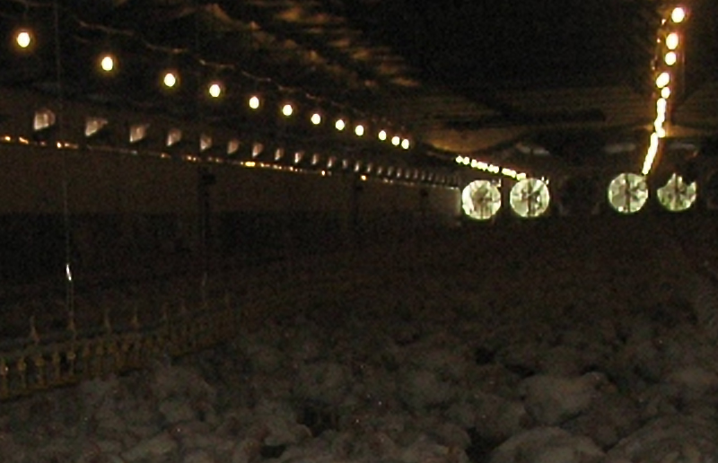 LG08K LED TRI-PROBAIN LIGHT